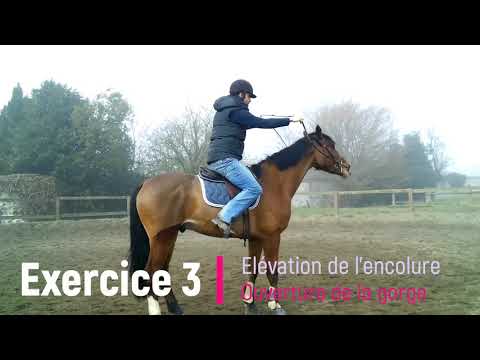 6 exercices pour réussir à placer votre cheval