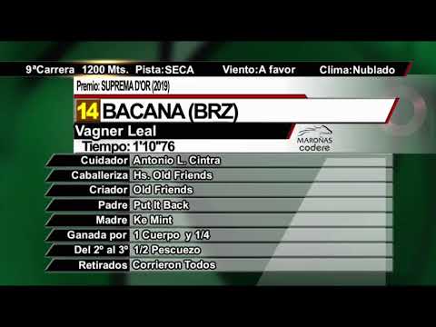 CARRERAS MARONAS 11 DE OCTUBRE 2020  -  WWW.MARONASONLINE.COM