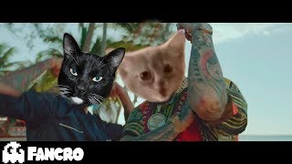 Pedro Capó - Farruko - Calma Cover Gatos (Official Video)