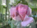 I'm Sorry with Lyrics..Sung by Jamie Rivera.wmv ...