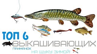 Какие наживки на щуку зимой
