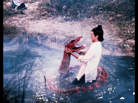 afbeelding Tiang Long Ba Bu