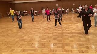 Your Good Girl&#39;s Gonna Go Bad ーLine Dance(Demo)@JCLDSF Spring Festa2024