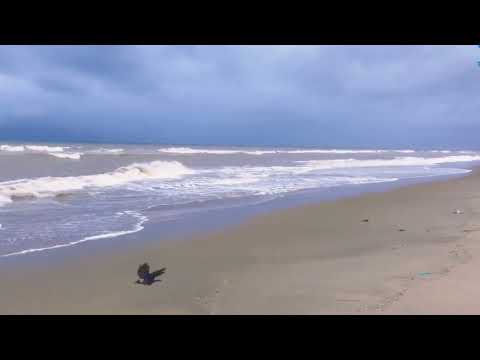 coxs'Bazar my evry special moment cox's bazar beauty.wonderful time spending best video #coxsbazar