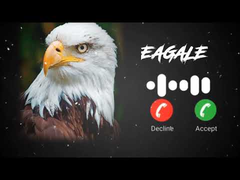 🦅Eagle Attitude King Ringtone | Boy Motivional 😈 Eagle Only Tune 📱