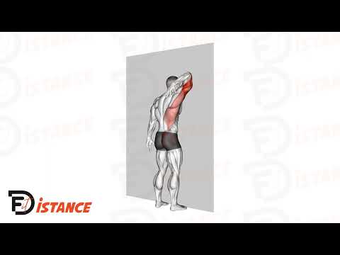 Étirement des Triceps contre un Mur - Exercice Étirement des Triceps contre un Mur en vidéo Étirement des Triceps contre un Mur - Exercice Étirement des Triceps contre un Mur en vidéo