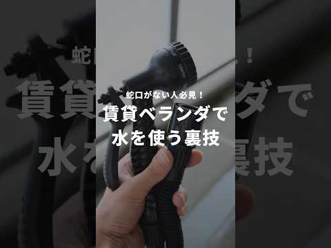 plantes-balcon-pétunias-roses-fougère plantes balcon