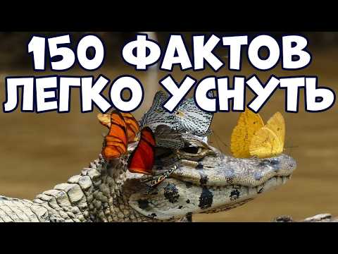 150 AMAZING FACTS THAT MAKE IT EASY TO FALL ASLEEP