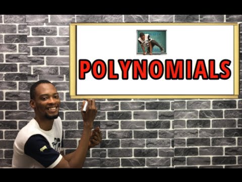 Introduction to Polynomials (Mathematics)
