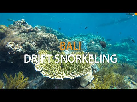 Bali drift snorkeling trip - Nusa Lembongan, Penida and Ceningan