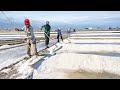 India’s Cheapest Technique to Produce Massive Tons of Salt Every Year