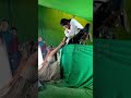 Ali Save Marjeena Alibaba Dastan E Kabul Abhisek Mariyam Trend Trending Viral Viralvideo Bts
