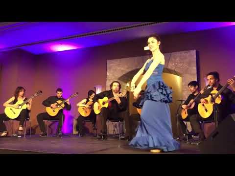 Lisa Flamenco Dancing With Castanets