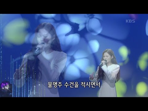 배아현 - 초립동[가요무대]210222