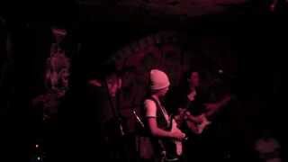 The Surf Coasters  "Flight of the Surf Guitar"