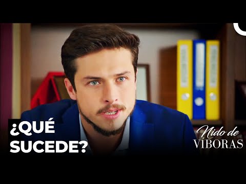 Holding Está Al Borde De La Quiebra - Nido De Víboras Capitulo 22 (Dobladas en Español