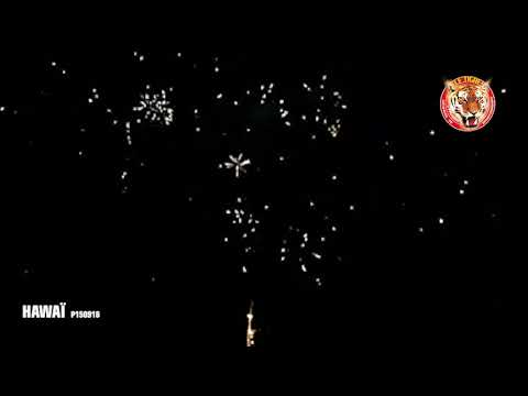 HAWAI® 28 COUPS - 55 secondes