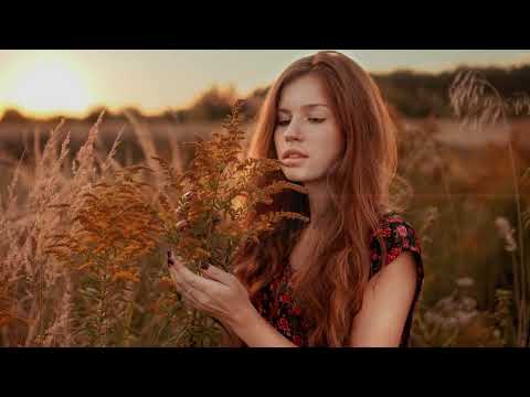 Vítek Tučný  - Whisky má barvu tvých vlasů (Mp4 2023)