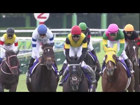 2019 Kikuka Sho (Japanese St. Leger) (G1)