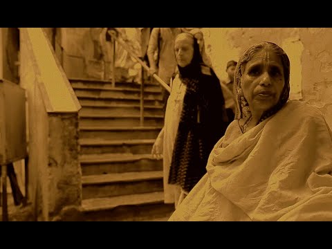 Appointed Losers | Drum N Bass | Axum Rockwell | Shakes Society | Must-Watch Video