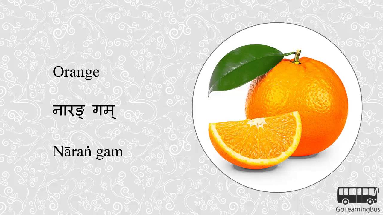 Learn Sanskrit Visual Dictionary - Fruits and Nuts via Videos by GoLearningBus(3A)