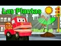Aprendemos Sobre Las Plantas Videos Educativos Para Niños Con Barney El Camión