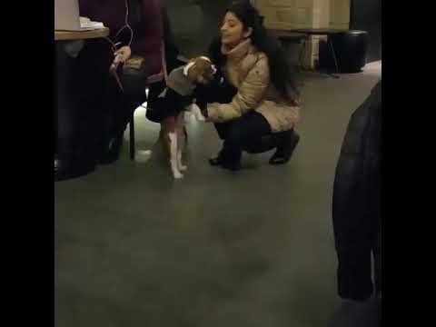 Pranita with his cute dog