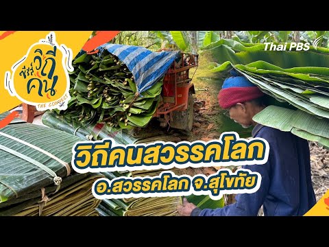คลิกเพื่อดูคลิปวิดีโอ