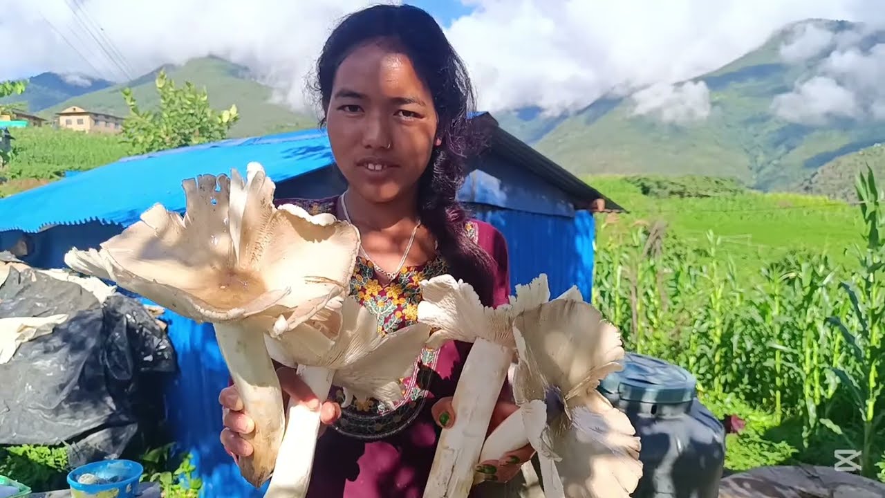 Most Peaceful Relaxing Himalayan village Life style || Organic Shepherd Food Cooking