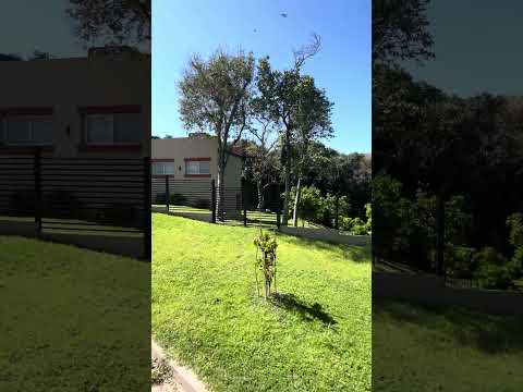 #villaurquiza #argentina #vanlifevoyages #travel #travesia #motorhome #viajar #trip #entrerios