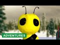 Benny Finds A Treasure Map Benny The Bee