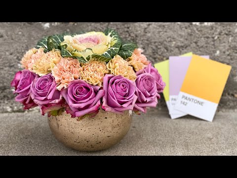 Exploring Color with Flowers and Teacher Leanne