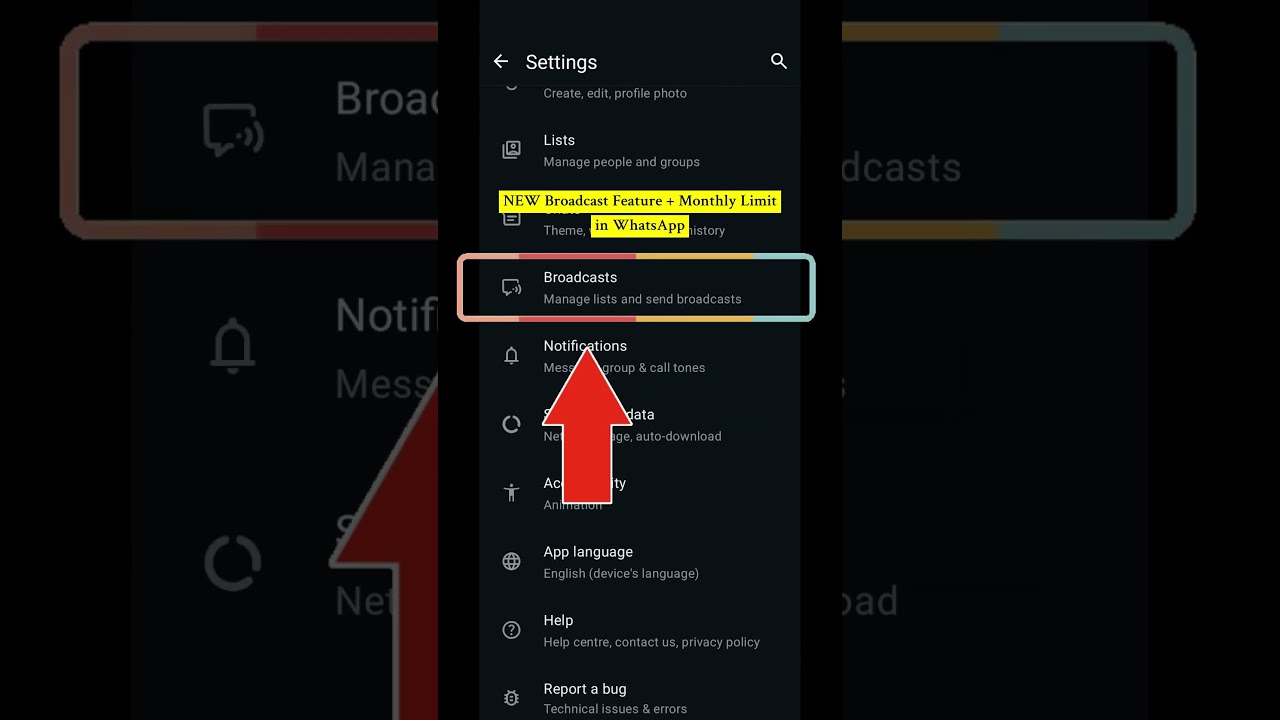 NEW Broadcast Tab + Monthly Limit in WhatsApp! #howto #whatsapp #broadcast