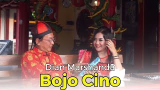 Download lagu Bojo Cino - Dian Marshanda mp3