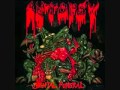 autopsy-fleshcrawl/torn from the womb