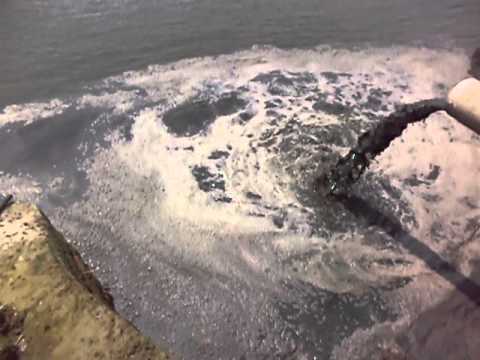 Poluare pe Dunare -Tichilesti, Braila- 08.07.2014 ,11:45