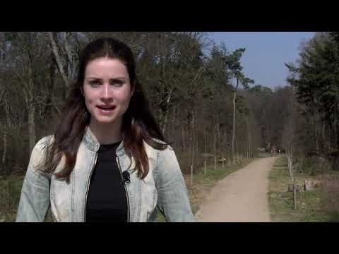 Groen Geluk: een wandeling langs de vele historische plekken in Rozendaal