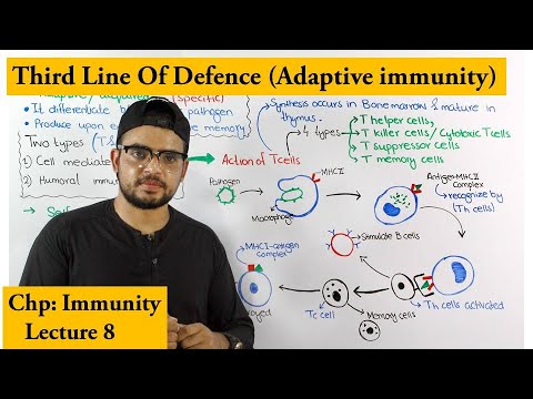 Cell mediated immunity (Adaptive immunity) | third line Of Defence |