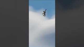 DCS World  Mig-29 High AOA Maneuver