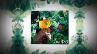 SONTAG - Disco Completo - Full Album EP [2013]