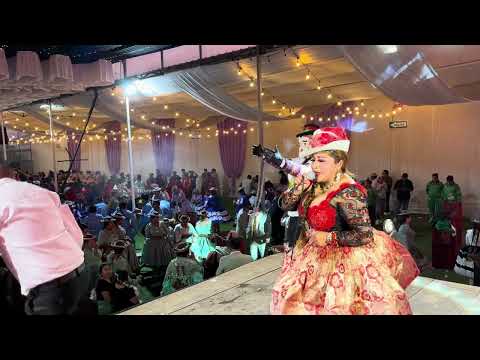 ANAIS DE LOS ANDES  - ENVIDIA