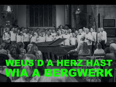 Weus´d a Herz hast wia a Bergwerk - Rainhard Fendrich (Männersache Cover)