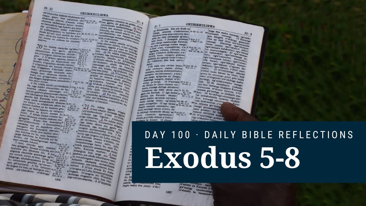 DAY 100 | Exodus 5-8 | The Bible in a Year