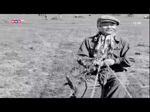 Морьтой ч болоосой киноны Гончигийн дуу