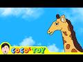 Tremendous Tornado Giraffe Storyㅣanimals Cartoons For Kids Animals NameㅣCoCosToy