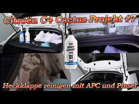 Citroën Projekt Teil 7 - Viel Schmutz und Moos im Kofferraumbereich! Shiny garage APC und Pinsel