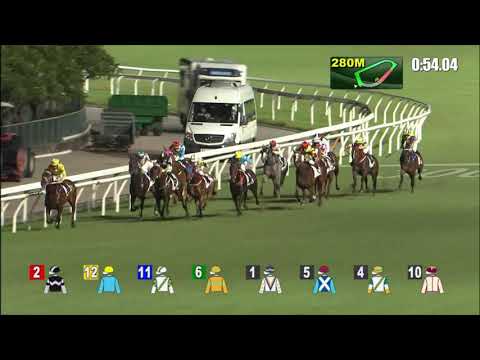 7/7/2021 (814) Family Folk - A Hamelin