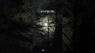 Download lagu STORY WA | KATA - KATA | Malam hari ~ fikiran mp3