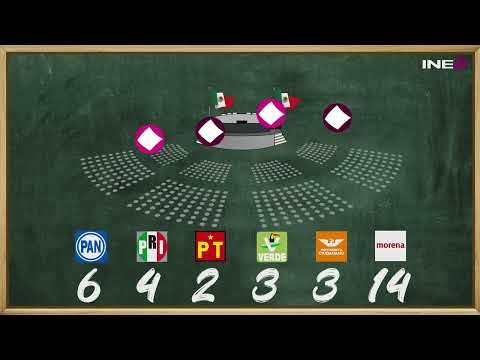 ¿Sabes cómo es el proceso de asignación de las Senadurías de representación proporcional?