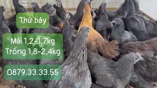 Thứ bảy 05/07